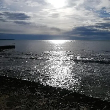 Jana Daire Novigrad Istria
